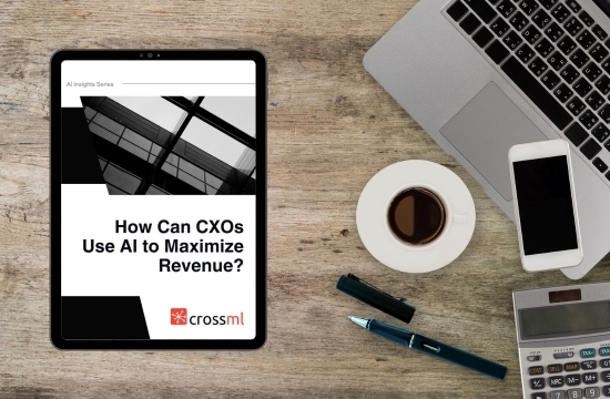 How CXOs Can Use AI to Maximize Revenue